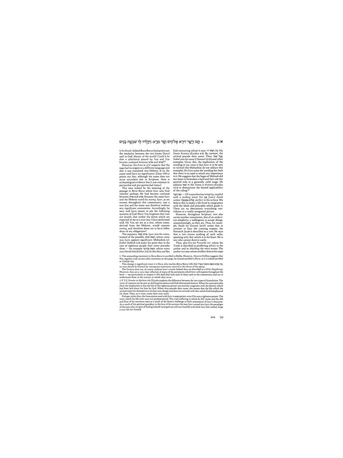 Iyov/Job - Hardcover | Books | Judaica